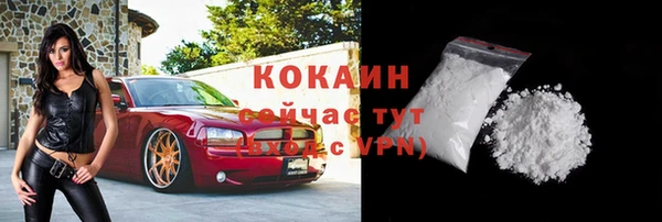 ешки Аркадак