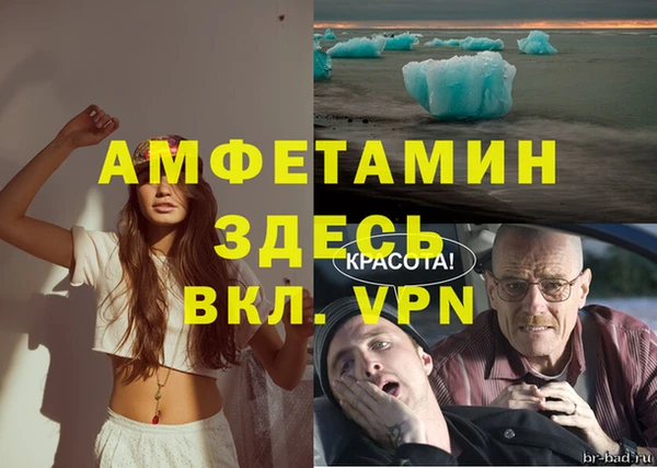 ешки Аркадак