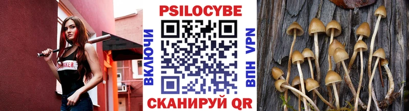Псилоцибиновые грибы Magic Shrooms  где купить наркотик  Сорочинск 